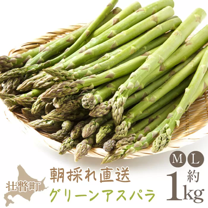 ＜2026年5月中・下旬よりお届け＞北海道壮瞥産「ファーム横山」朝採れ直送　グリーンアスパラ約1kg（M・L混合） SBTM001