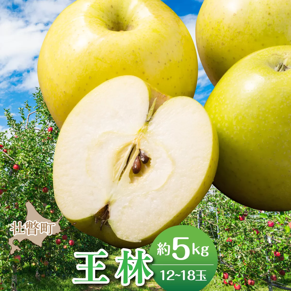 【先行予約】＜2026年11月中旬よりお届け＞北海道壮瞥町　りんご　品種名「王林」12～18玉約5kg SBTF025