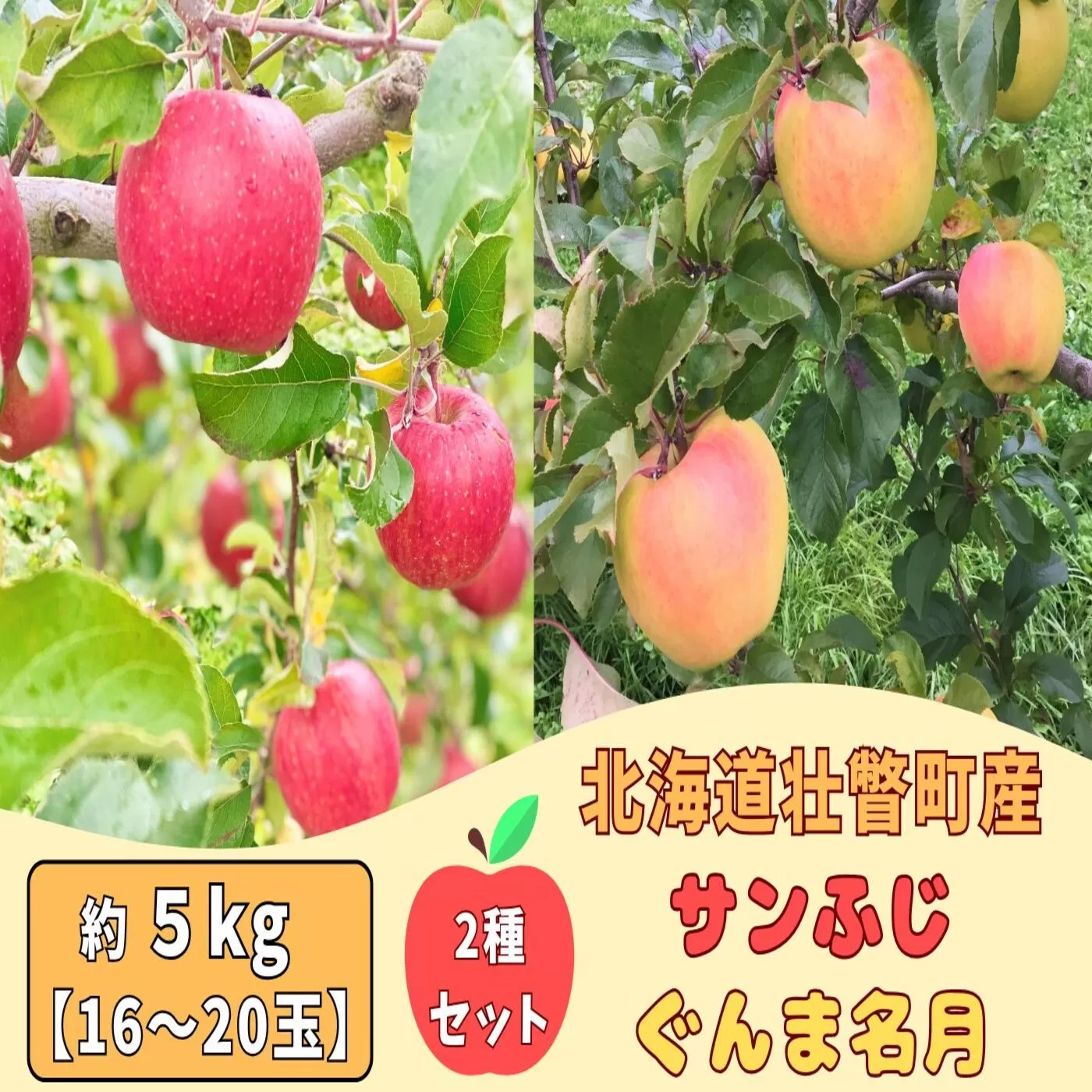 ファームアグリエイトのりんご食べ比べ「ぐんま名月」「サンふじ」 計約5kg（16～20玉）SBTB016