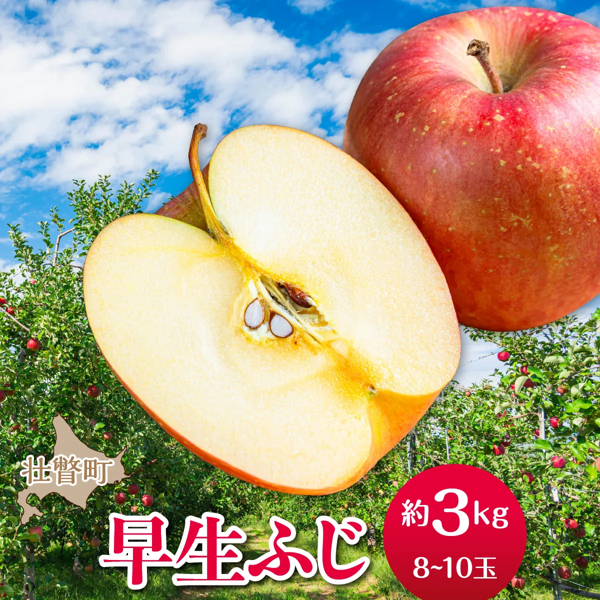【先行予約】北海道壮瞥町産りんご「早生ふじ」約3kg(8〜10玉)<2026年10月中旬よりお届け> SBTF002