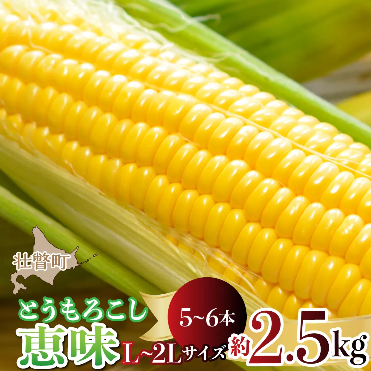 ＜2026年8月初旬よりお届け＞約2.5kg！北海道壮瞥産とうもろこし（恵味）【L～2Lサイズ 5～6本】 SBTP014