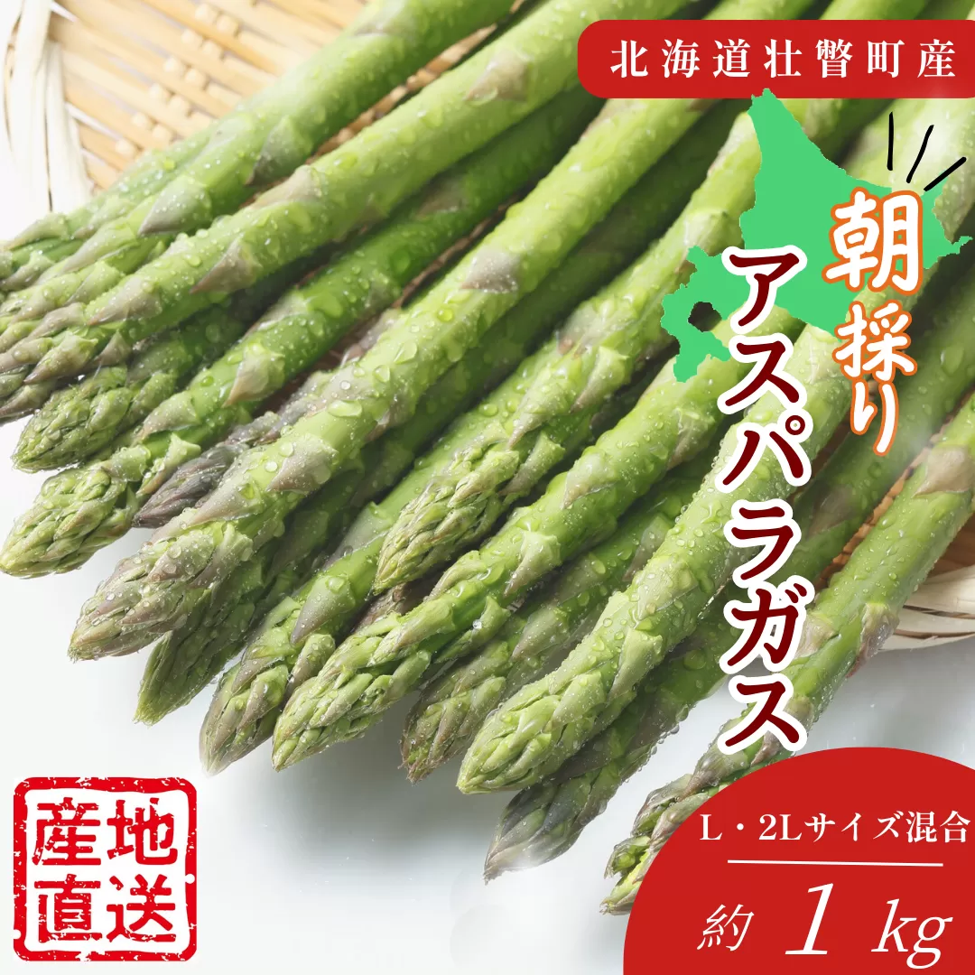 ＜2026年5月中・下旬よりお届け＞北海道壮瞥産「ファーム横山」朝採れ直送　グリーンアスパラ約1kg（L・2L混合） SBTM008