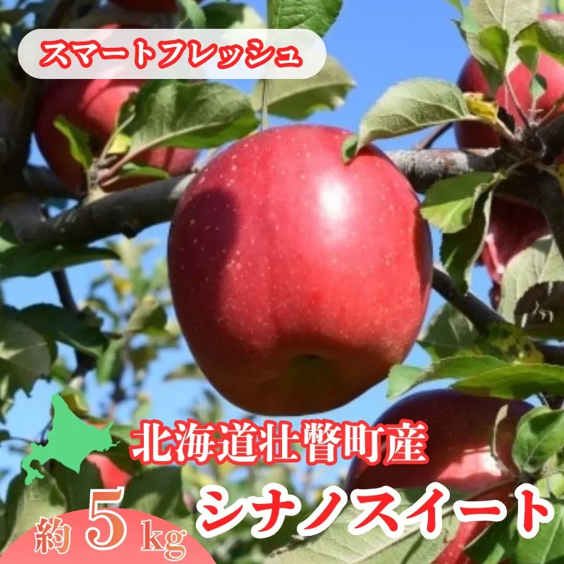 ファームアグリエイトのりんご「シナノスイート」 約5kg（18～20玉）【スマートフレッシュ】 SBTB017