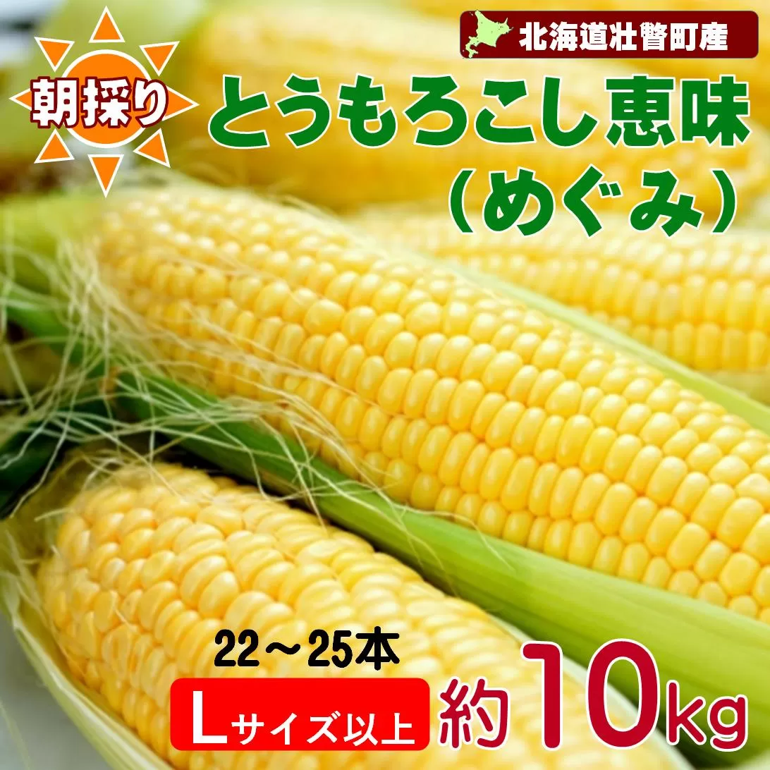 ＜2025年8月下旬よりお届け＞【朝採り】北海道壮瞥町産　とうもろこし恵味（めぐみ）Lサイズ以上約10kg（22～25本） SBTL013