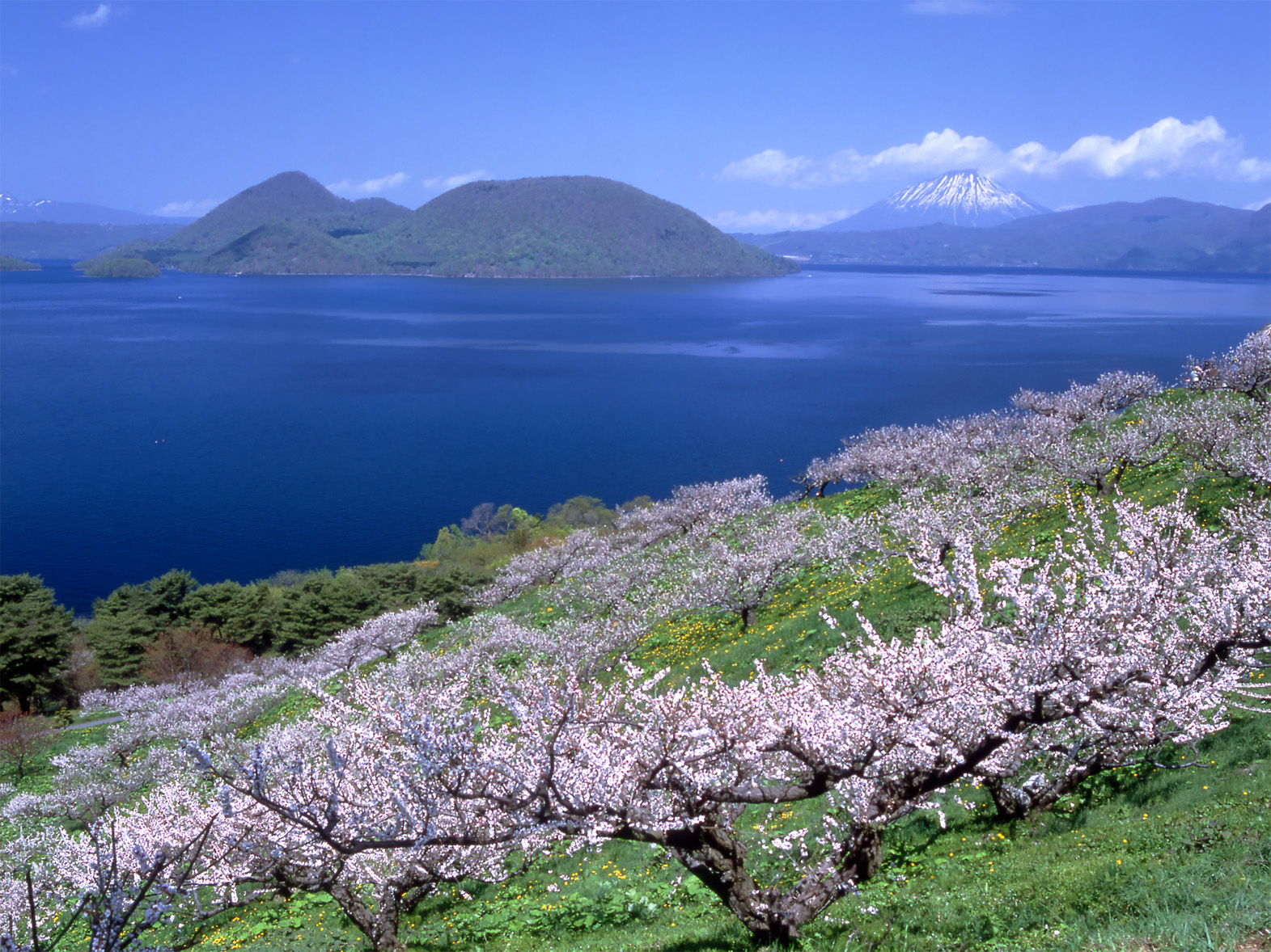 環境・景観の保全活動