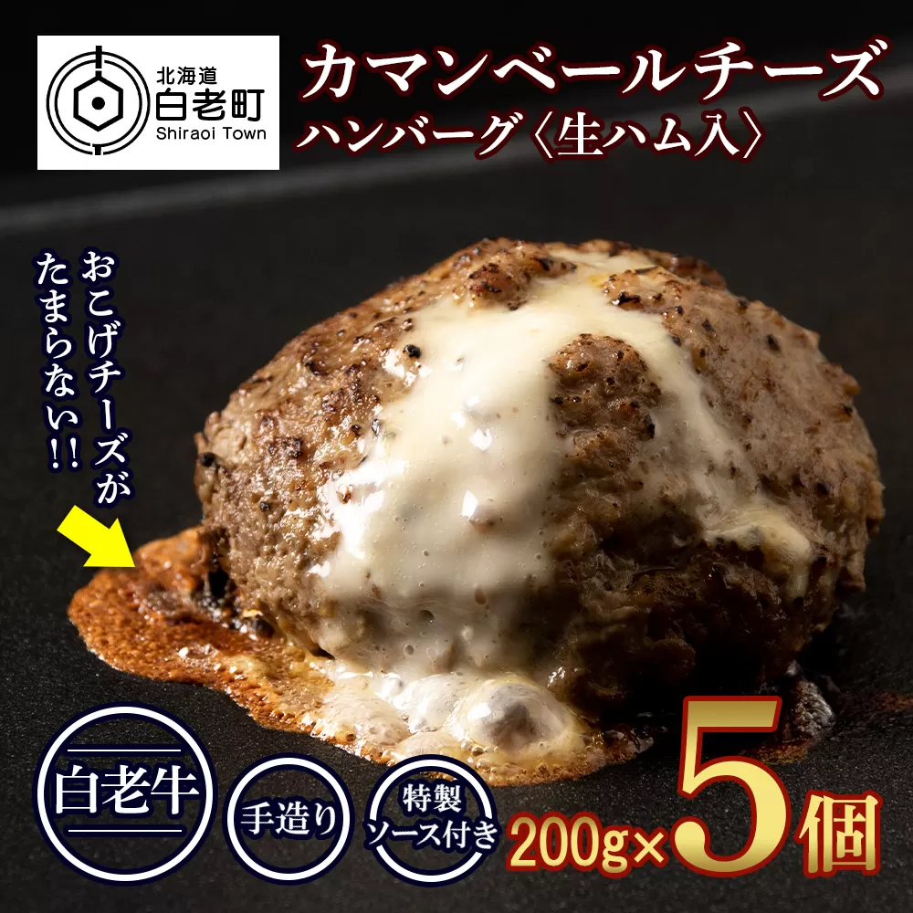 北海道産 白老牛 カマンベールチーズハンバーグ 5個セット 冷凍 チーズ イン ハンバーグ