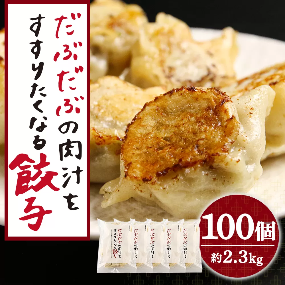 だぶだぶの肉汁をすすりたくなる餃子 100個（20個入×5パック）