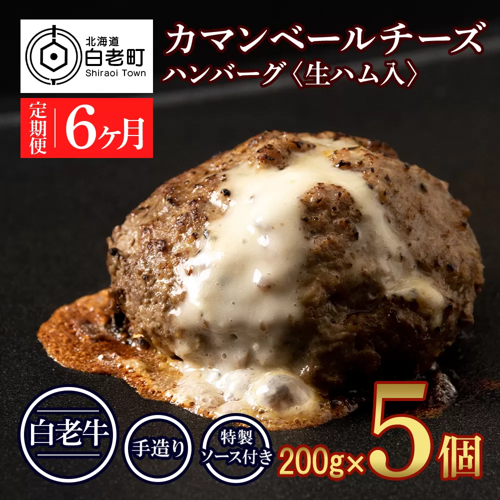 定期便6ヵ月 お楽しみ 北海道産 白老牛 カマンベールチーズハンバーグ 5個セット 冷凍 チーズ イン ハンバーグ