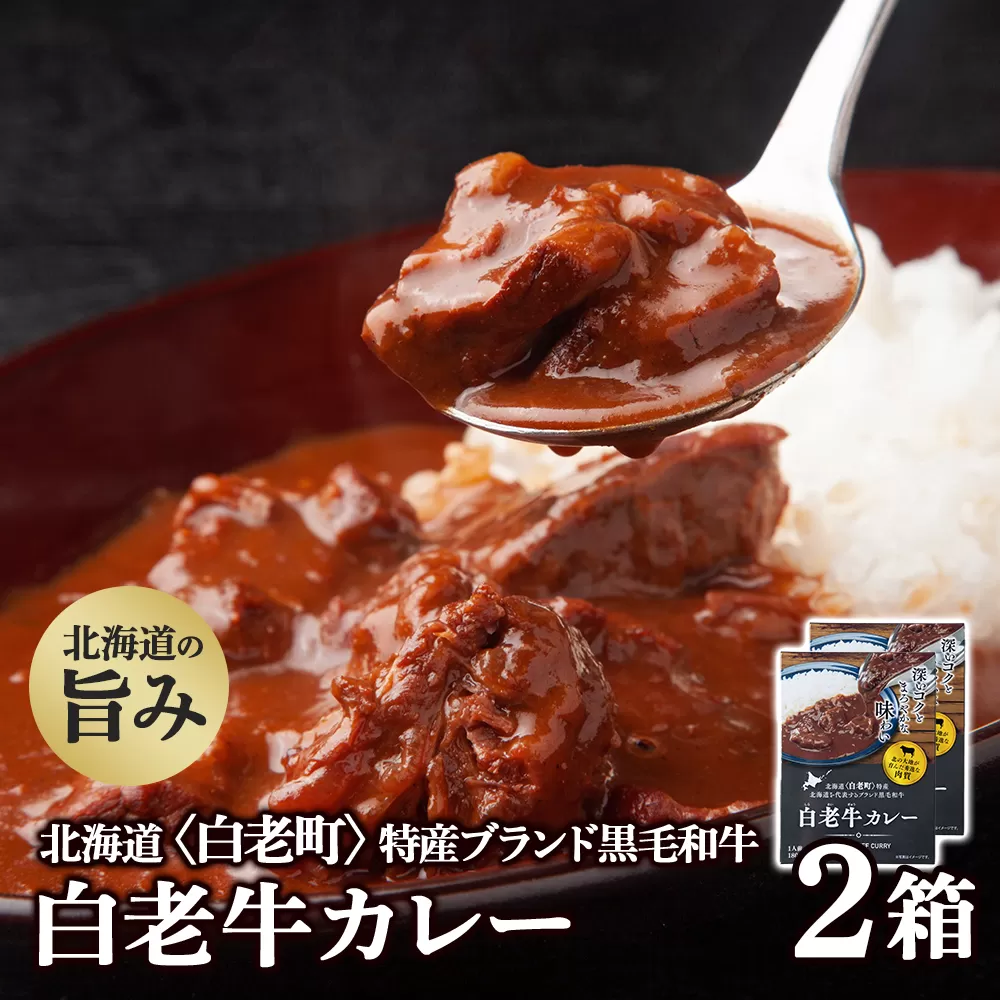 カレー レトルト 白老牛カレー 180ｇ×2箱 北海道 国産 和牛 ビーフカレー