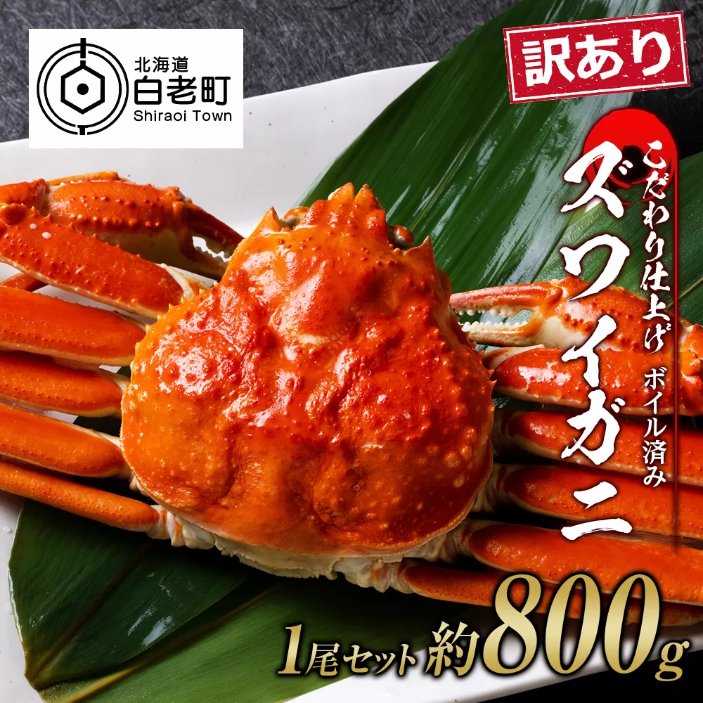 訳あり ズワイガニ 姿 ボイル済み 冷凍 1尾セット 約800g 