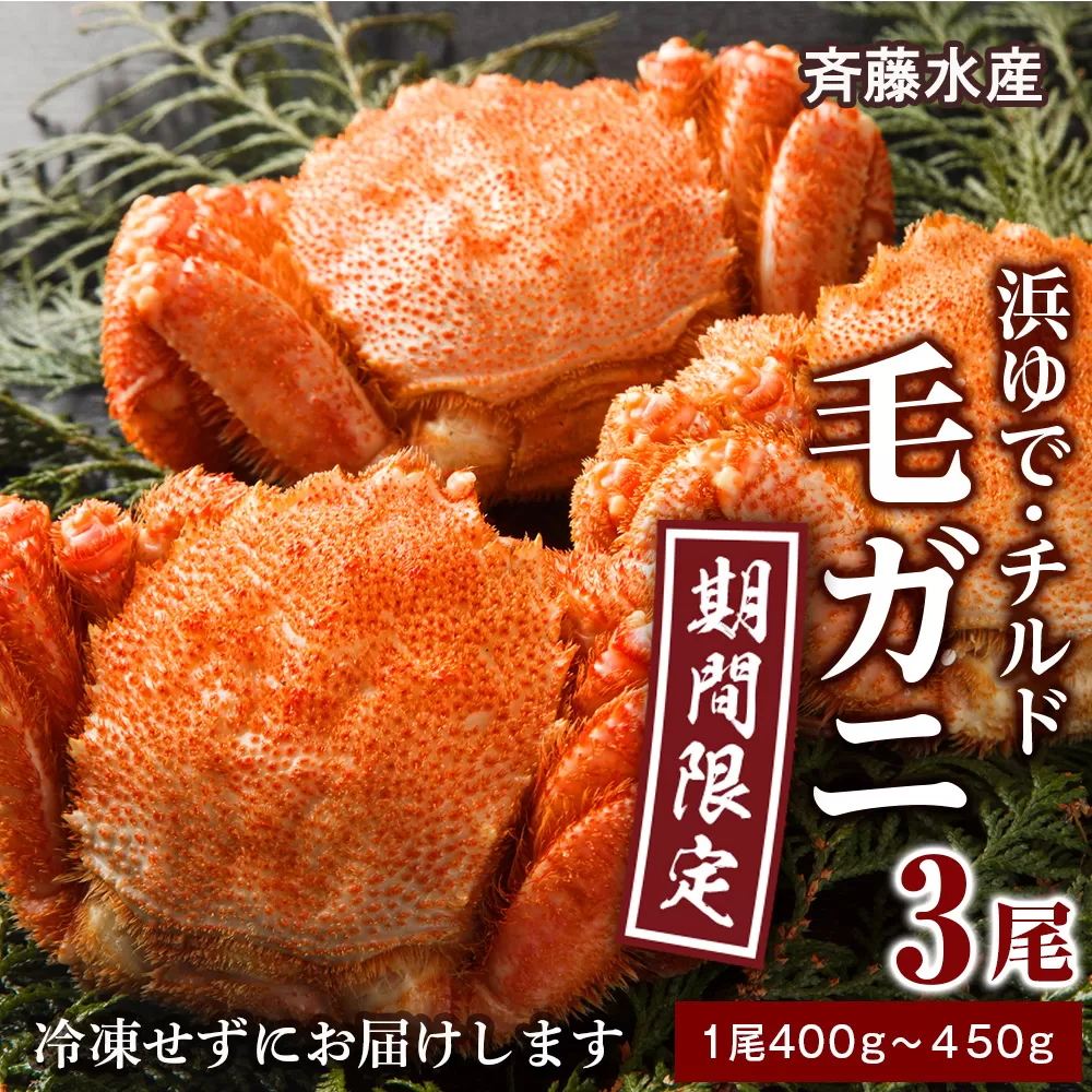 ★期間限定★ 浜ゆで！毛ガニ 約400g～450g×3尾 チルド配送 7/17~7/30発送【斉藤水産】 北海道 冷蔵 チルド 毛蟹 カニ かに 白老 前浜