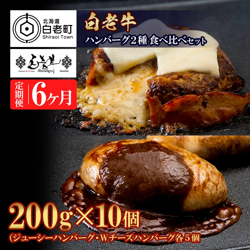 定期便6カ月 お楽しみ 白老牛 2種 食べ比べ ハンバーグ セット 合計10個 モッツァレラ ベーコン 網脂 特製ソース 手造り