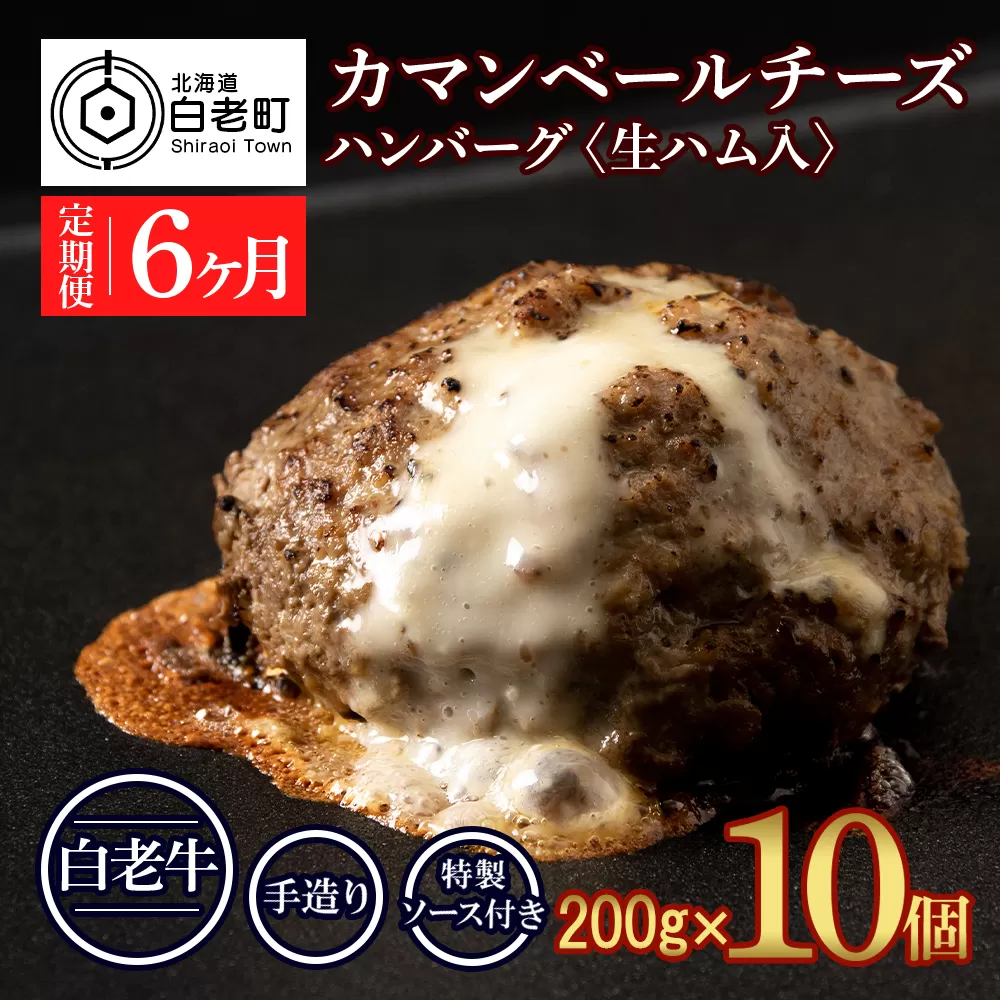 定期便6ヵ月 お楽しみ 北海道産 白老牛 カマンベールチーズハンバーグ 10個セット 冷凍 チーズ イン ハンバーグ
