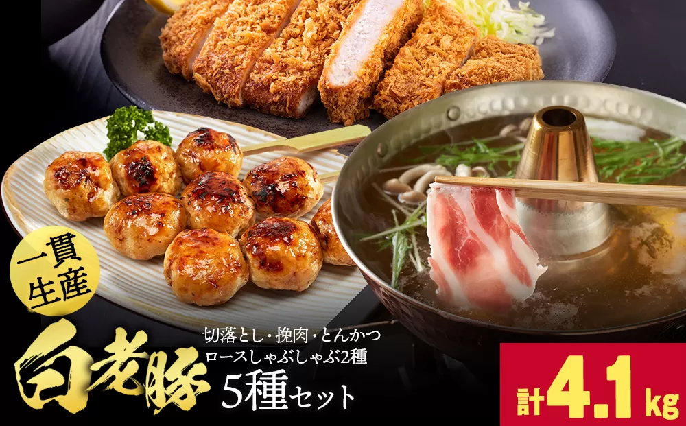 北海道産 白老豚　5種セット 合計4.1kg BV098