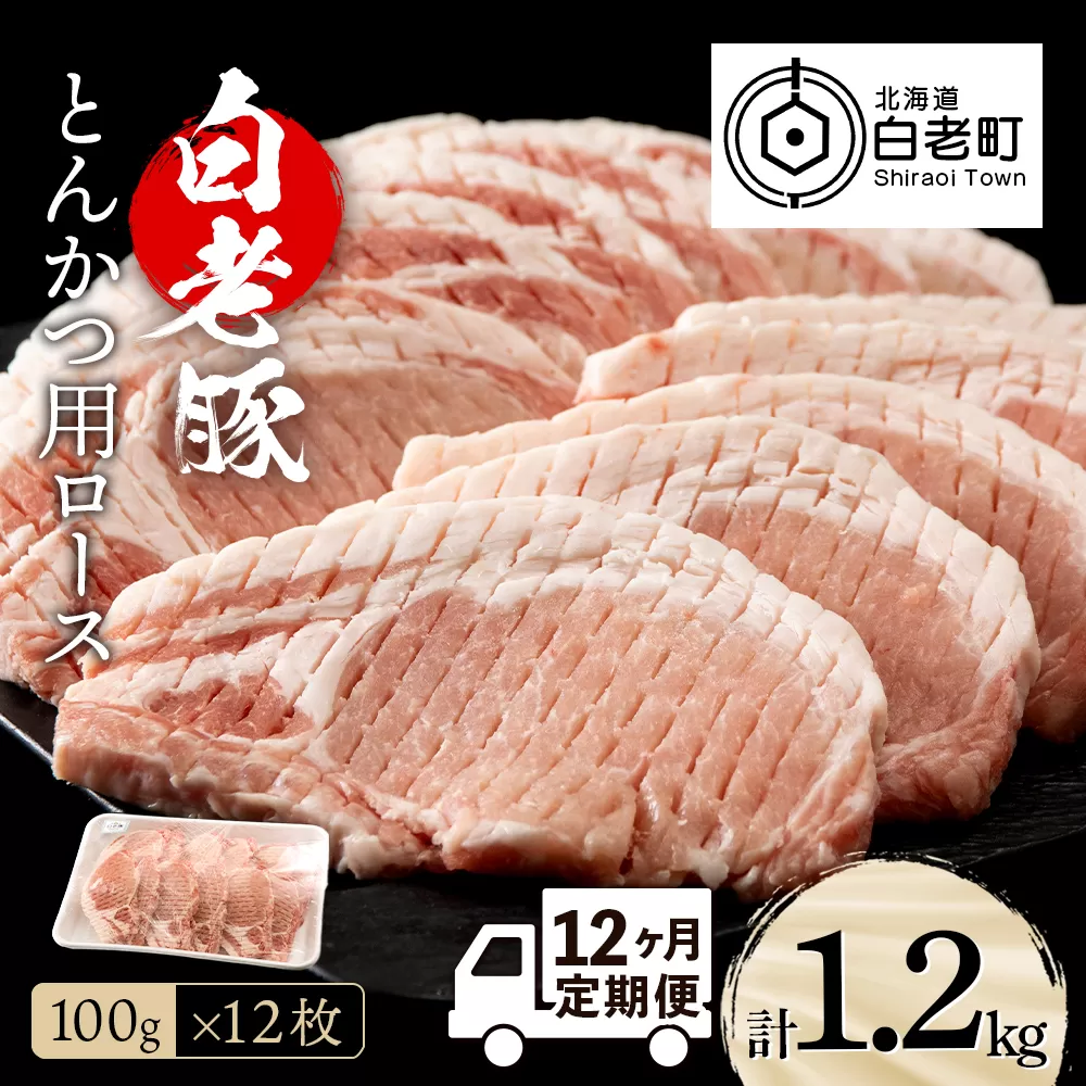 【定期便 12カ月】北海道産 白老豚 ロース とんかつ用 100g×12枚