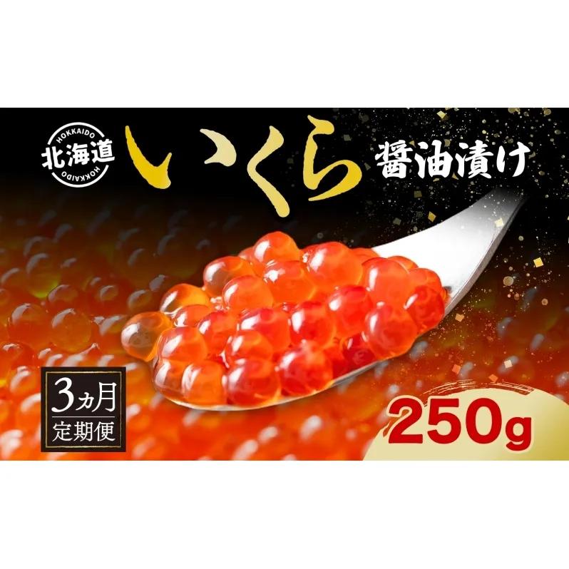 定期便 3ヵ月連続 全3回 北海道産 いくら醤油漬け 250g 北海道 イクラ醤油漬け 小分け いくら 国産 イクラ 海鮮 魚介 魚卵 海産物 醤油漬け 鮭いくら 寿司 刺身 贅沢 お取り寄せ グルメ ギフト プレゼント 化粧箱