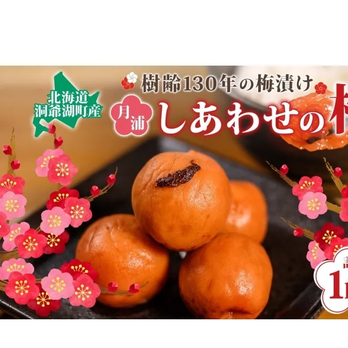 北海道・樹齢130年の梅漬け「しあわせの梅」1kg（200g×5個）