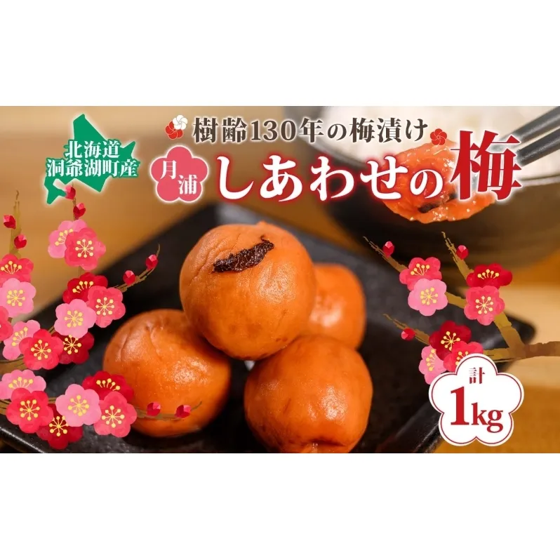 北海道・樹齢130年の梅漬け「しあわせの梅」1kg（200g×5個） 梅干し 漬物 うめ 