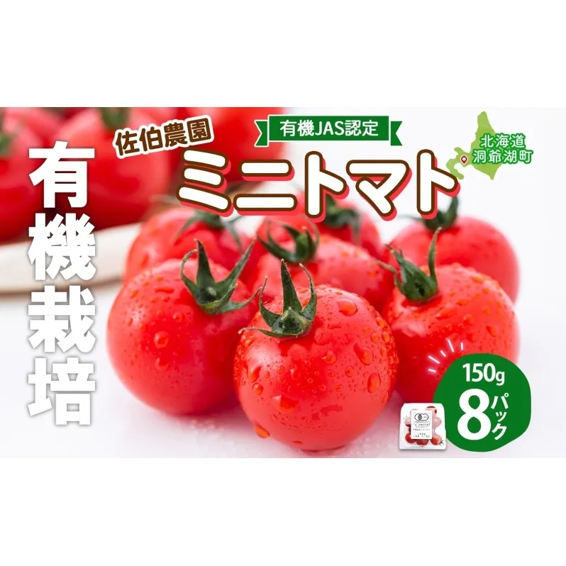 北海道 有機JAS認定 ミニトマト ダルタリー 150g×8パック 7月中旬～9月上旬頃にお届け 有機栽培 新鮮 旬 野菜 安心 安全 完熟 高糖度 濃厚 トマト 産地直送 農家直送 佐伯農園 送料無料 洞爺湖