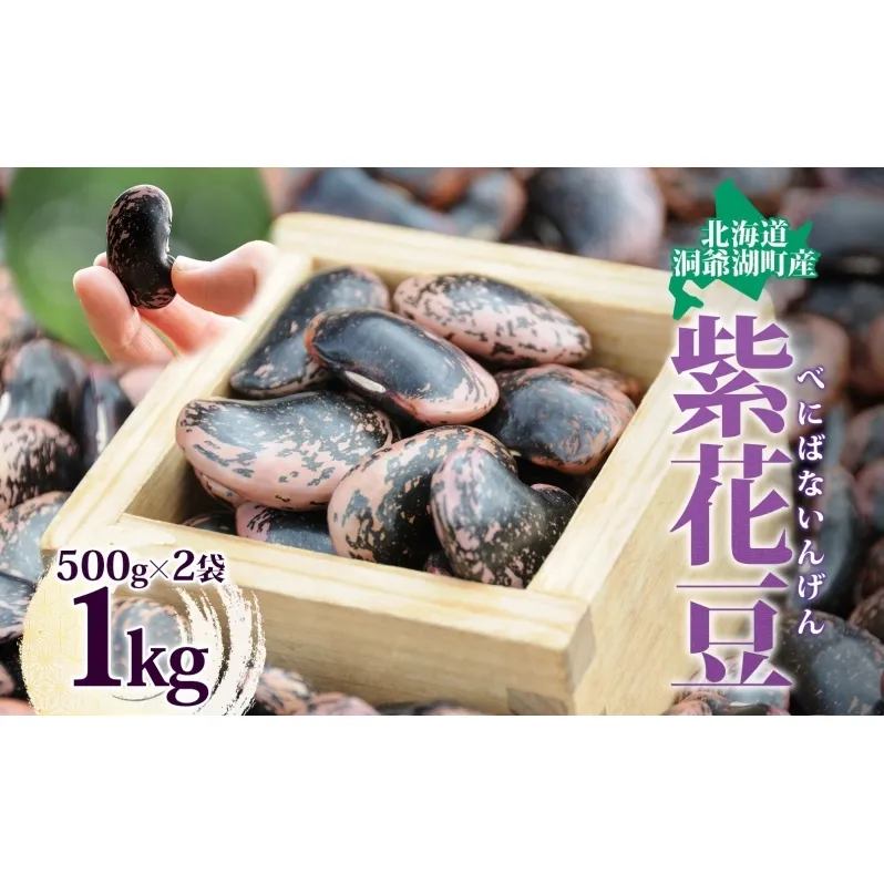 北海道 洞爺湖町産 高級菜豆の紫花豆 500g 2袋 計1kg 紫花豆 菜豆 むらさきはなまめ ベニバナインゲン べにばないんげん 高級 菜豆煮豆 豆 まめ マメ 乾物 ※2024年12月中旬より順次出荷