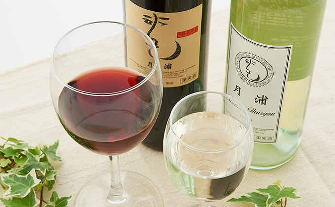 非常に高い品質 ワイン白ワイン赤ワインボトルワインお酒酒アルコール7b｜ワイン ワイン