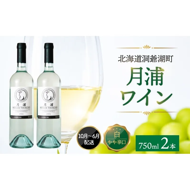 北海道 洞爺湖町産 月浦ワイン 白 750ml×2本 ミュラートゥルガウ 白ワインお酒 アルコール ブドウ酒 自社農園 家飲み お祝い 記念日 贈答用 ギフト 月浦ワイナリー 送料無料 フルーティ 宅飲み 国産 