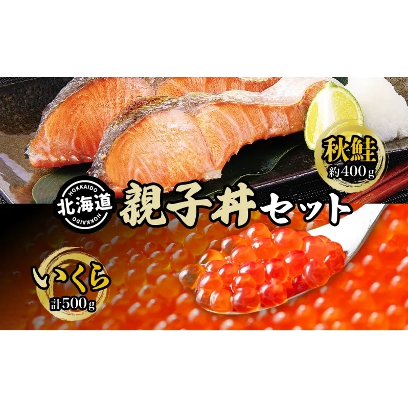 秋鮭といくらの親子丼セット(甘塩秋鮭切身1切 約100g×4切、いくら醤油漬け250g×2個) サーモン 魚貝類 魚卵 加工食品 