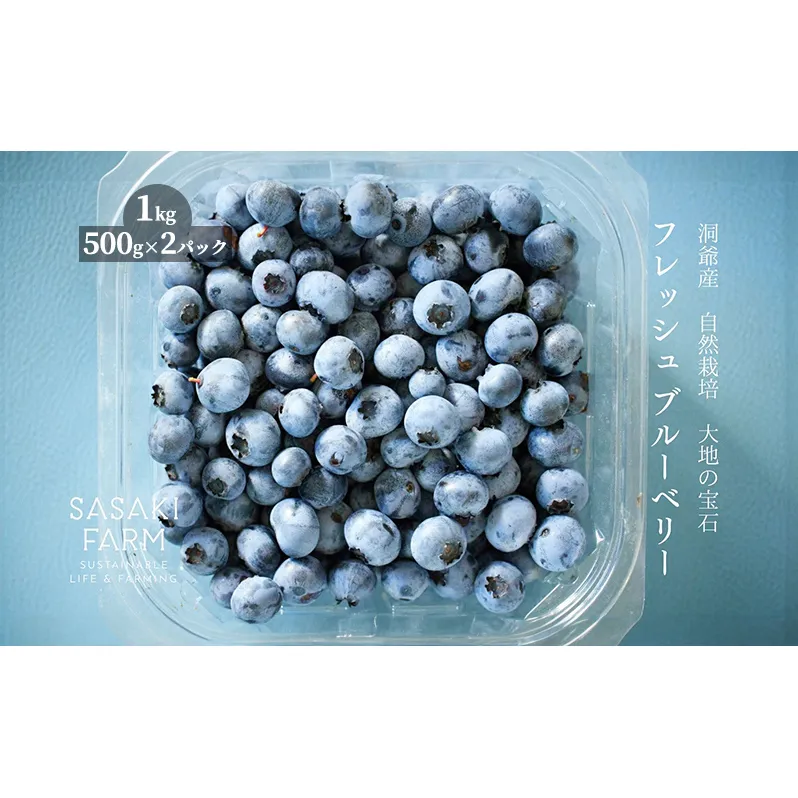 北海道 洞爺湖町産 フレッシュ ブルーベリー 500g 2パック 計1kg 7月25日から順次お届け 北海道産 ブルーベリー 果物 果実 フルーツ 新鮮 国産 ベリー 農作物 お取り寄せ 冷凍 長期 保存 送料無料