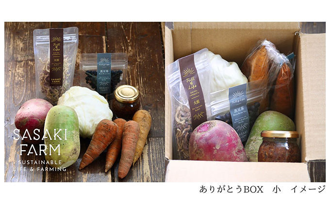 旬の野菜詰め合わせ ~ありがとうBOX2025・小~ 12月1日~1月31 旬の野菜詰め合わせ ~ありがとうBOX2025・小~ 12月1日~1月31