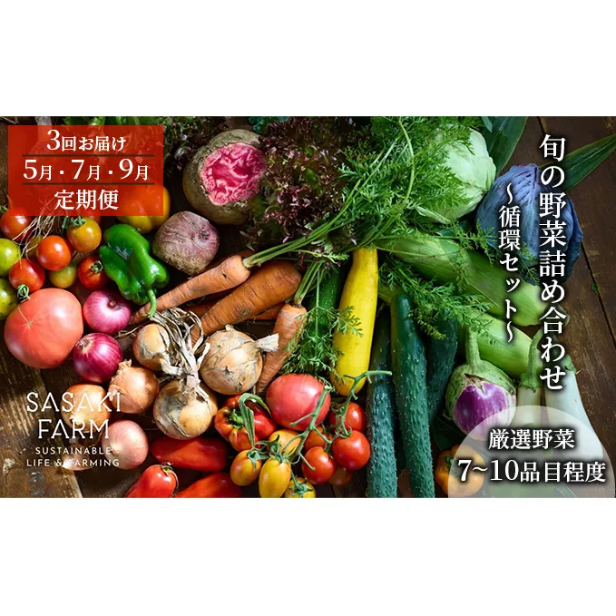 [3回お届け 5月・7月・9月 定期便]〈自然栽培〉佐々木ファーム 旬の野菜詰め合わせ ～循環セット～ 厳選野菜7-10品目程度 やさい 直送 北海道 洞爺湖町 野菜の詰め合わせ 北海道産 
