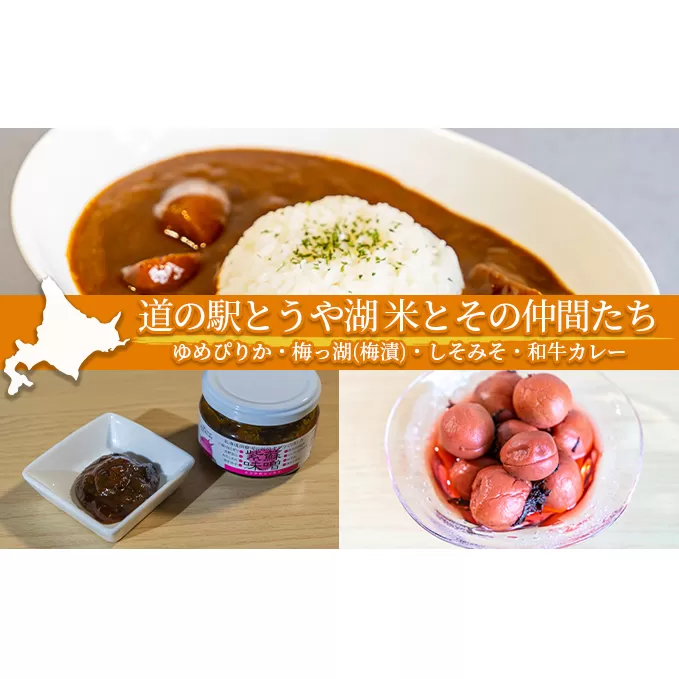 道の駅とうや湖 米とその仲間たち(ゆめぴりか・梅っ湖(梅漬)・しそみそ・和牛カレー) 食品セット お米 レトルトカレー 
