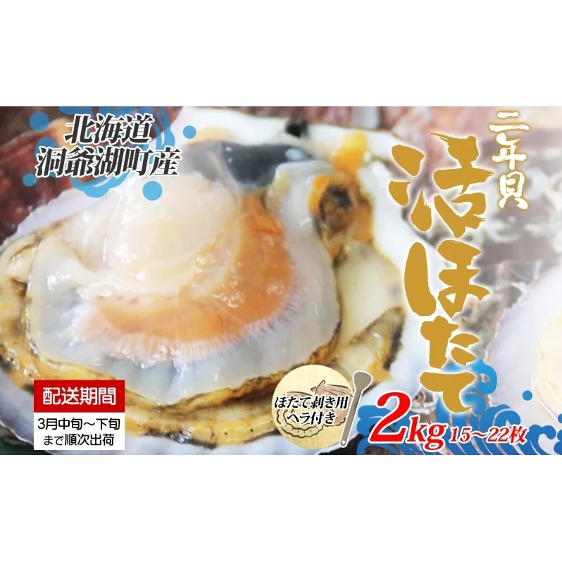 北海道産 活ほたて 2年貝 約 2kg 15枚～22枚 2026年3月中旬～3月下旬頃お届け 殻付き 帆立 ホタテ ほたて 貝 魚介 海産 海鮮 貝柱 噴火湾 刺身 焼き フライ 生産者支援 産地直送 送料無料 北海道 