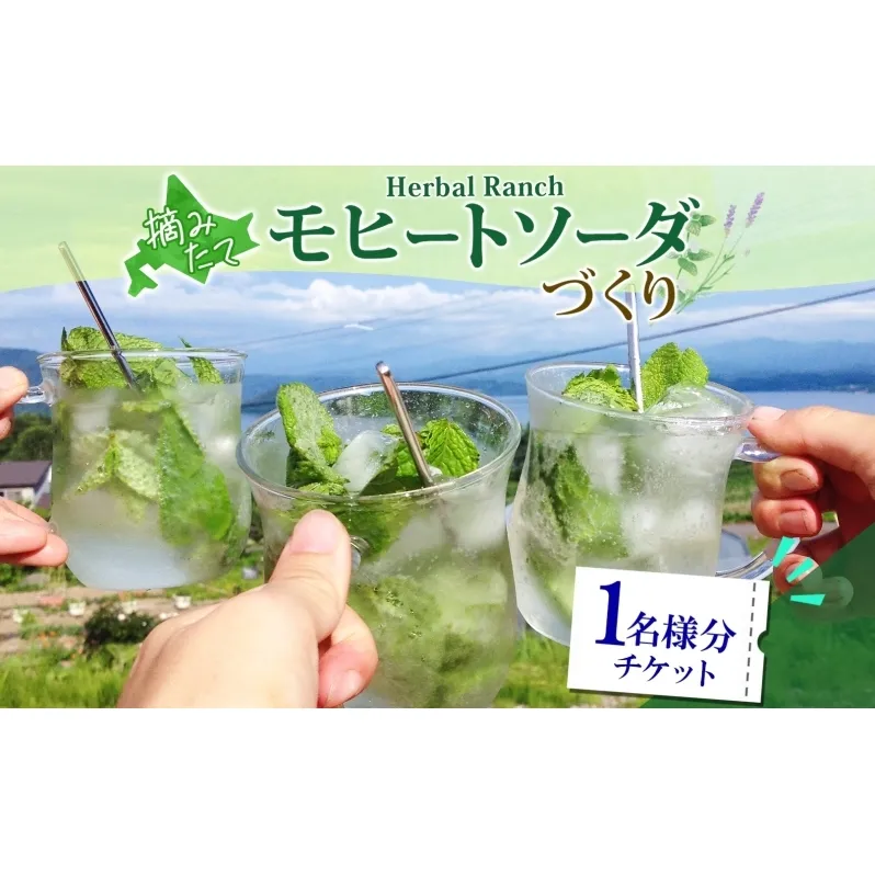北海道 モヒート ソーダ 作り 体験 ハーブ ミント サイダー ノンアルコール ノンアル オリジナル 天然 リラックス 癒し リラクゼーション 健康 ハーバルランチ 送料無料 洞爺湖 
