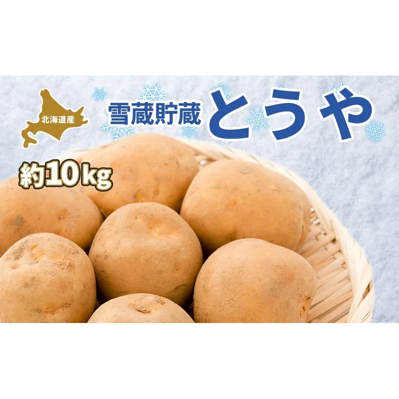 北海道 雪蔵 とうや  L～LM 約10kg 2026年2月中旬より順次お届け じゃがいも ジャガイモ じゃが芋 馬鈴薯 芋 いも イモ 旬 雪蔵貯蔵 野菜 農作物 カレー シチュー肉じゃが 北海道産 丸田農園 送料無料