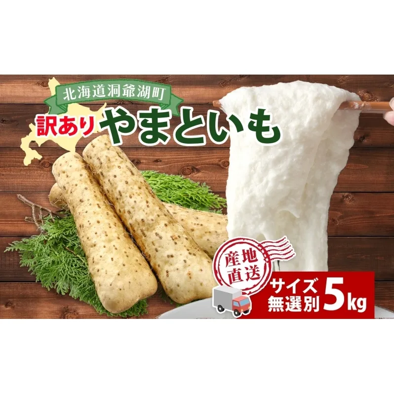 北海道産 やまといも 5kg 訳あり 2024年12月中旬～2025年3月末お届け 野菜 大和芋 とろろ芋 芋 いも とろろ 山芋 旬 北海道 洞爺湖町 野菜 農作物 お取り寄せ 産地直送 送料無料