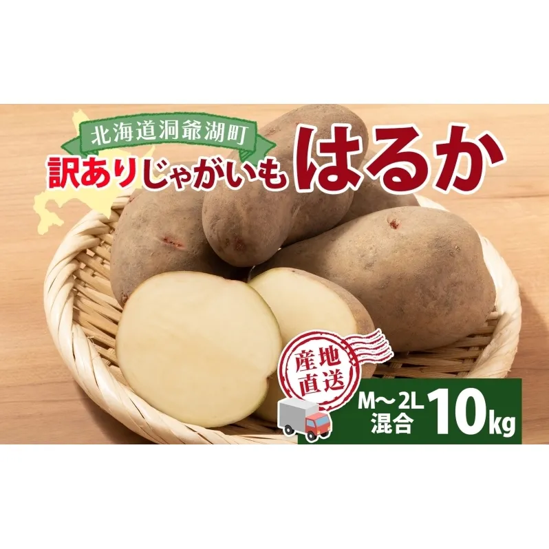 北海道産 じゃがいも はるか 10kg M～2L混合 訳あり 2024年12月中旬～2025年3月末お届け 野菜 ジャガイモ 馬鈴薯 芋 いも 旬 北海道 洞爺湖町 肉じゃが カレー コロッケ 野菜 農作物 お取り寄せ