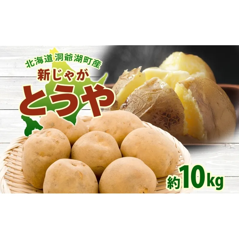 北海道 洞爺湖町産 新じゃがいも とうや 約10kg  Mサイズ以上混載 北海道産 新じゃが じゃがいも いも ジャガイモ 馬鈴薯 黄爵 芋 旬 野菜 農作物 送料無料 産地直送 常温 洞爺湖町