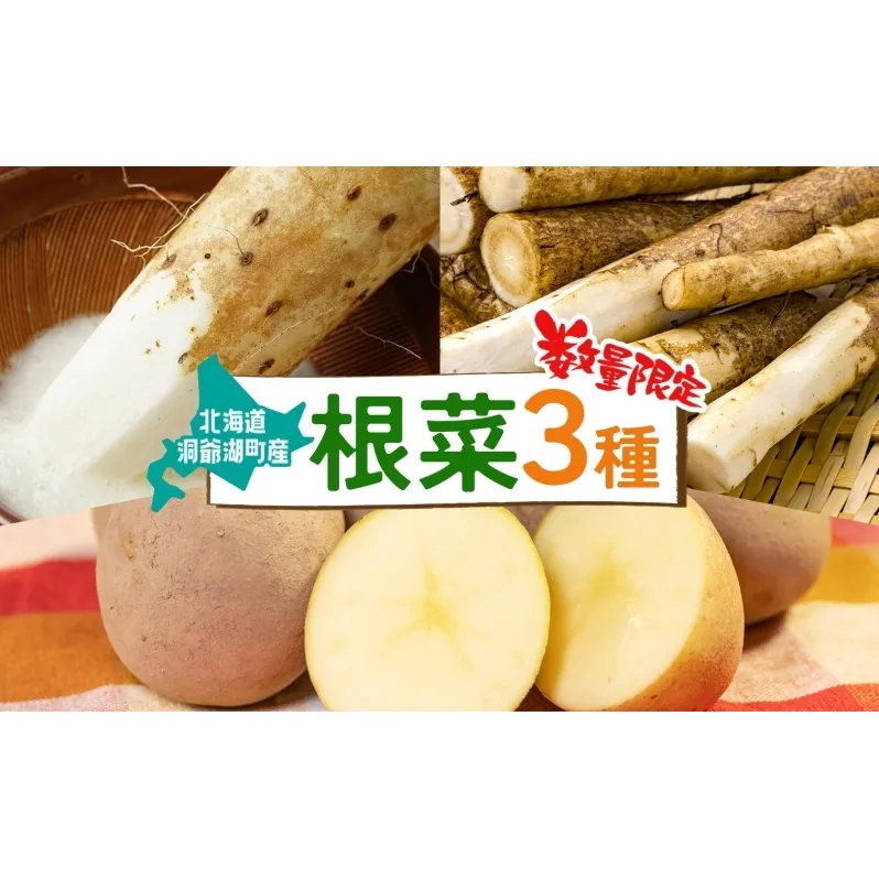 数量限定 根菜3種セット 計8.6kg 土付き 長芋 5kg 土付き ごぼう 1.5kg じゃがいも 1.8kg 11月下旬～12月下旬までのお届け 野菜 詰め合わせ 根菜 常温 青野農園 北海道 洞爺湖町