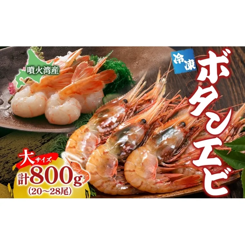 北海道 噴火湾産 冷凍ボタンエビ 大サイズ 計800g 20～28尾 ボタンエビ エビ えび 海老 北海道産 旬 ぼたんえび 刺身 牡丹海老 海鮮 魚介 甲殻類 味噌汁 鍋 海鮮丼 冷凍 洞爺湖町