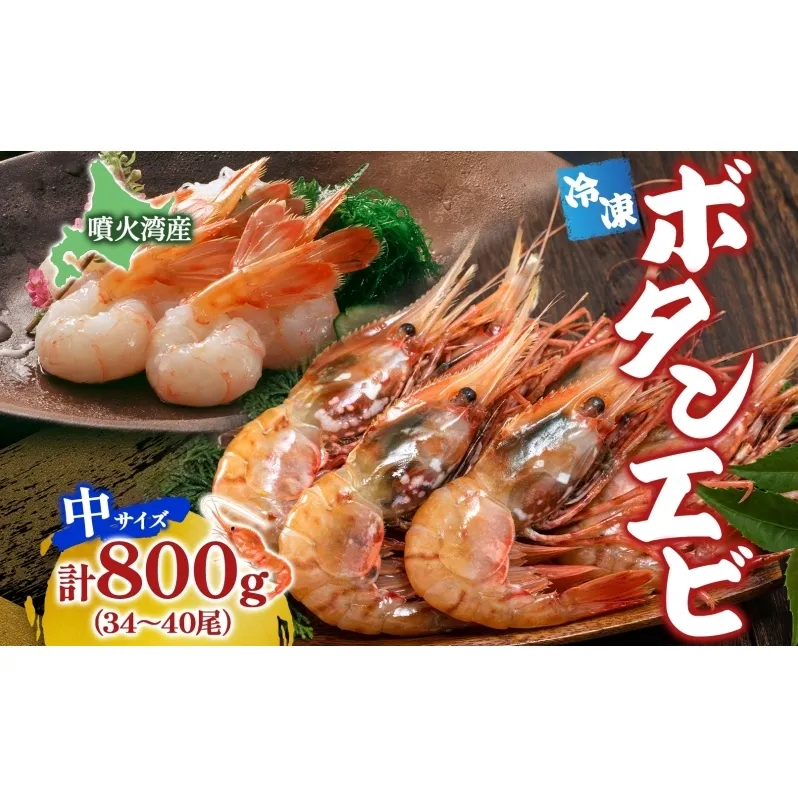 北海道 噴火湾産 冷凍ボタンエビ 中サイズ 計800g 34～40尾 ボタンエビ エビ えび 海老 北海道産 旬 ぼたんえび 刺身 牡丹海老 海鮮 魚介 甲殻類 味噌汁 鍋 海鮮丼 冷凍 洞爺湖町