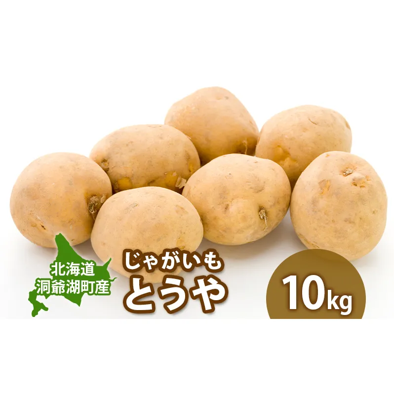 じゃがいも とうや 10kg  9月上旬～12月中旬までお届け ジャガイモ 芋 甘い なめらか しっとり ポタージュ カレー 調理 料理 煮込み料理 旬 季節 農作物 野菜 根菜 北海道 とうや湖農業協同組合