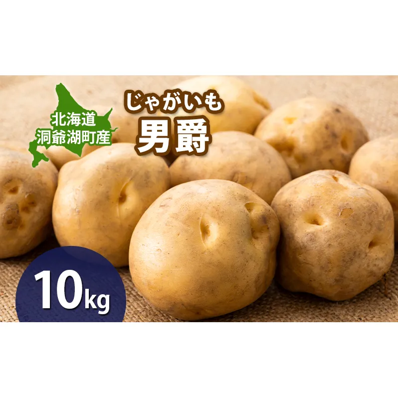 じゃがいも 男爵 10kg 9月上旬～12月中旬までお届け ジャガイモ 芋 甘い なめらか しっとり ポタージュ カレー 調理 料理 煮込み料理 旬 季節 農作物 野菜 根菜 北海道 とうや湖農業協同組合 