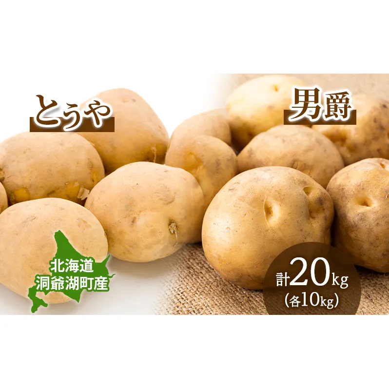 じゃがいも とうや 男爵 各10kg×1 計20kg 9月上旬～12月中旬までお届け ジャガイモ 芋 甘い なめらか しっとり ポタージュ カレー 調理 料理 煮込み料理 旬 季節 農作物 野菜 根菜 北海道 とうや湖農業協同組合 