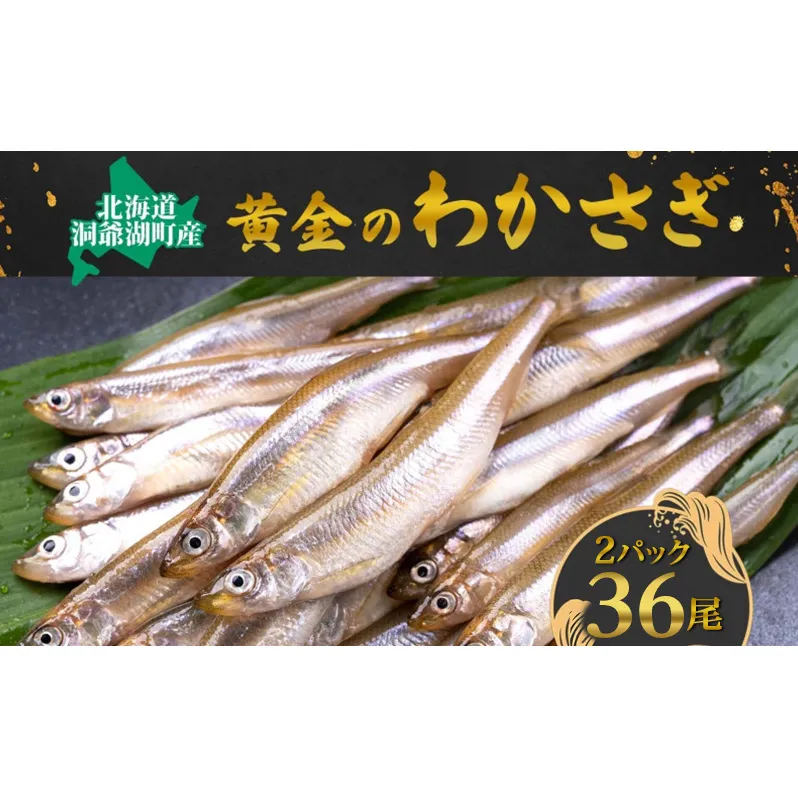 洞爺湖町産 黄金のわかさぎ 18尾×2P 計36尾 北海道産 ワカサギ わかさぎ 川魚 魚介類 産地直送 冷凍 お取り寄せ グルメ 料理 天ぷら フライ とうやマルシェ 北海道 洞爺湖町