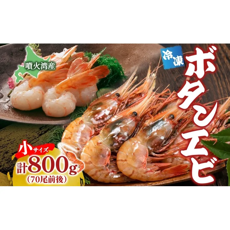 北海道 噴火湾産 冷凍ボタンエビ 小サイズ 計800g 70尾前後 ボタンエビ エビ えび 海老 北海道産 旬 ぼたんえび 刺身 牡丹海老 海鮮 魚介 甲殻類 味噌汁 鍋 海鮮丼 冷凍 洞爺湖町