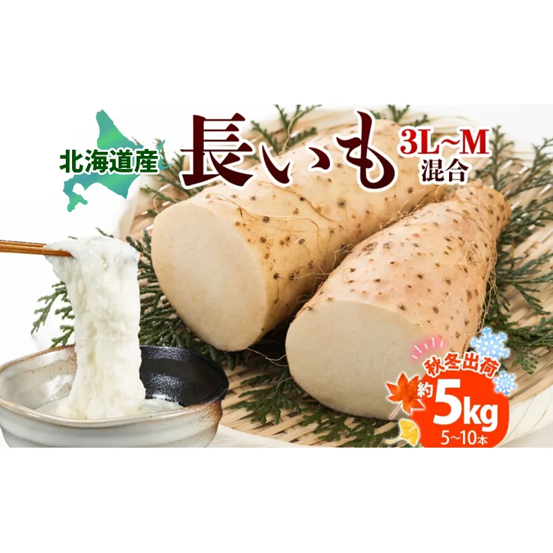 北海道産 長いも 秋冬出荷 約5kg 2025年11月中旬～2026年3月下旬お届け 長芋 ながいも とろろ 農作物 野菜 新鮮 根菜 新物 山かけ 産地直送 お取り寄せ 送料無料 冷蔵 北海道 洞爺湖町