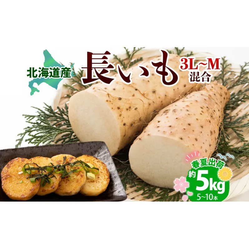 北海道産 長いも 春夏出荷 約5kg 2026年5月上旬～6月下旬頃お届け 長芋 ながいも とろろ 農作物 野菜 新鮮 根菜  山かけ 産地直送 お取り寄せ 送料無料 冷蔵 北海道 洞爺湖町