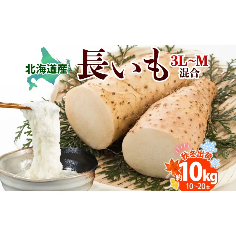 北海道産 長いも 秋冬出荷 約10kg 2025年11月中旬～2026年3月下旬お届け 長芋 ながいも とろろ 農作物 野菜 新鮮 根菜 新物 山かけ 産地直送 お取り寄せ 送料無料 冷蔵 北海道 洞爺湖町 