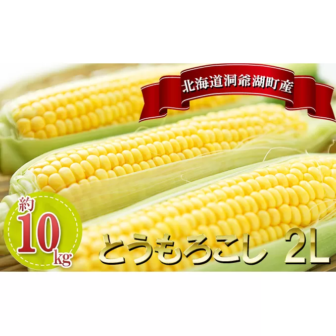 北海道産 とうもろこし 2L 約10kg 20本前後 2025年8月下旬~9月 北海道産 とうもろこし 2L 約10kg 20本前後 2025年8月下旬~9月