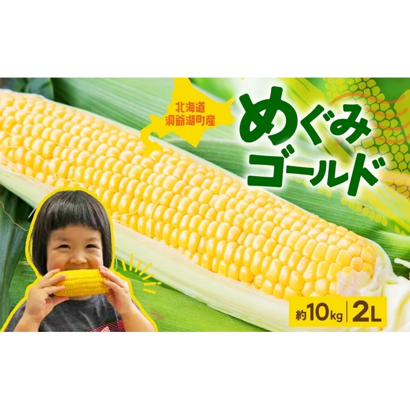 北海道産 青野農園 めぐみ ゴールド 2Lサイズ 約10kg 先行受付 8月下旬頃お届け スイートコーン 北海道 とうもろこし トウモロコシ コーン 恵味 旬 朝採れ 新鮮 野菜 農作物 産地直送 甘い 送料無料 国産 